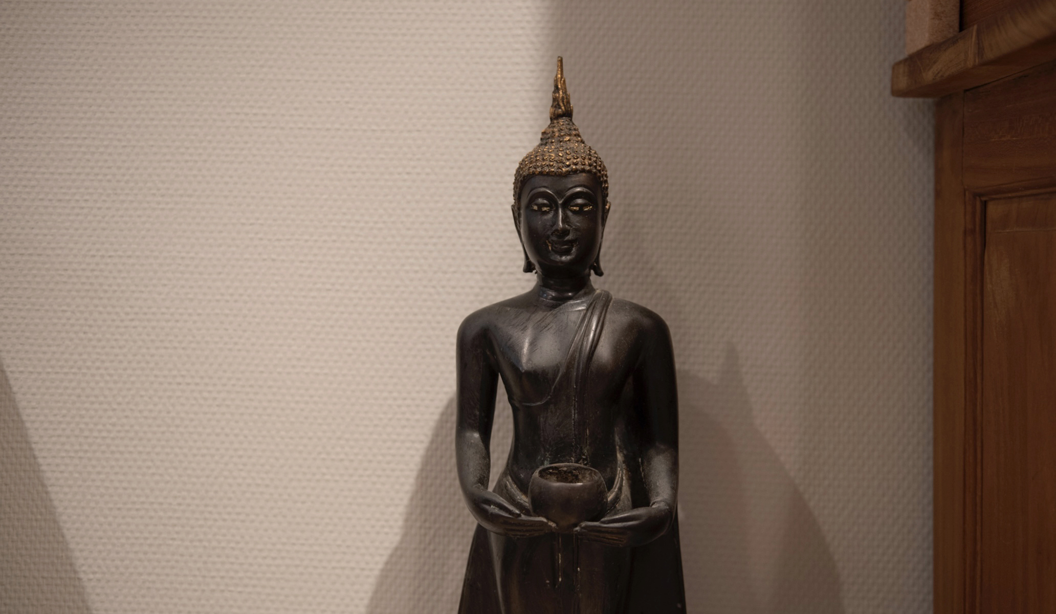 Natuurgeneeskundehaarlem